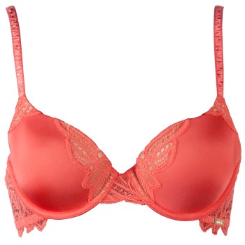 Calvin Klein Harem Bra * Fri Frakt *