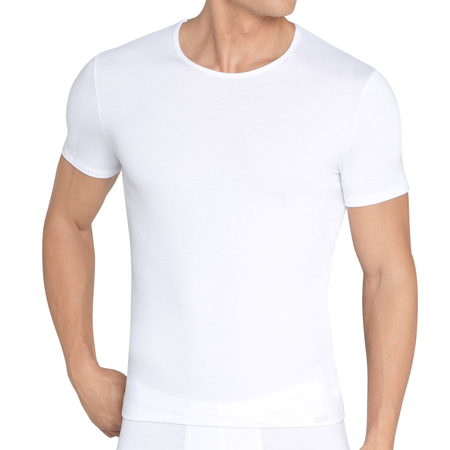 Soft shirts. Купить мужские футболки Sloggi.